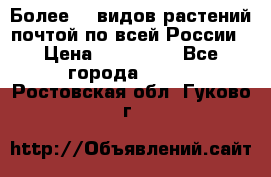 Более200 видов растений почтой по всей России › Цена ­ 100-500 - Все города  »    . Ростовская обл.,Гуково г.